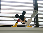 mickey